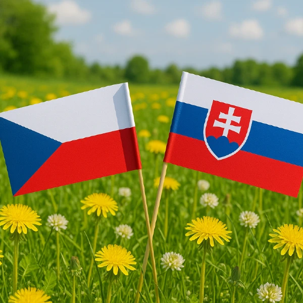 české slová
