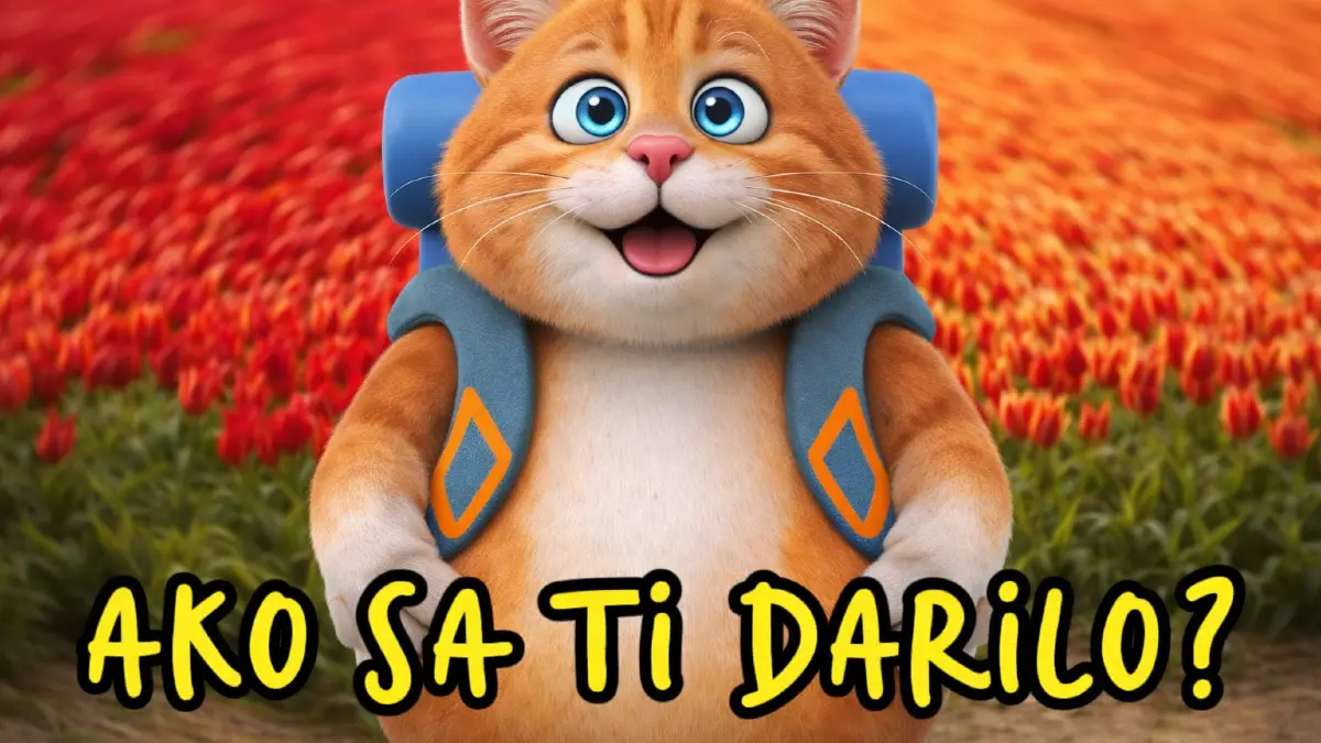 kvízy