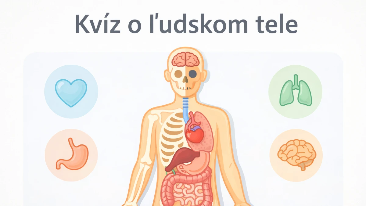 Kvíz o ľudskom tele: Dáte 10 z 10 alebo vás zlomí stehenná kosť? 1 kvíz o ľudskom tele