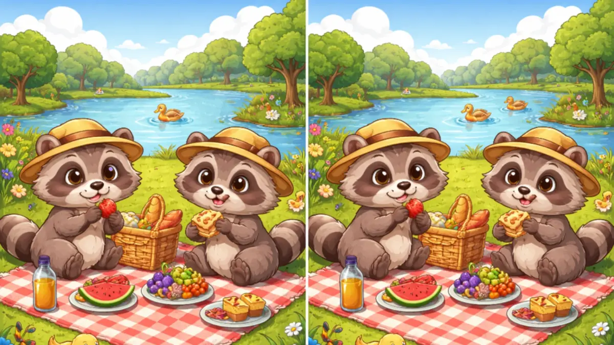 Hádanka: Nájdete 3 rozdiely na obrázku za 25 sekúnd? 2 nájdi 3 rozdiely