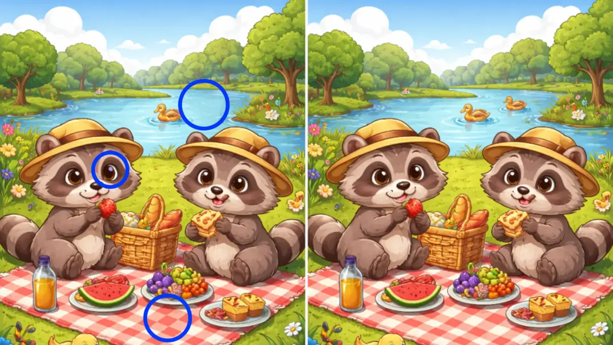 Hádanka: Nájdete 3 rozdiely na obrázku za 25 sekúnd? 3 najdi 3 rozdiely 2