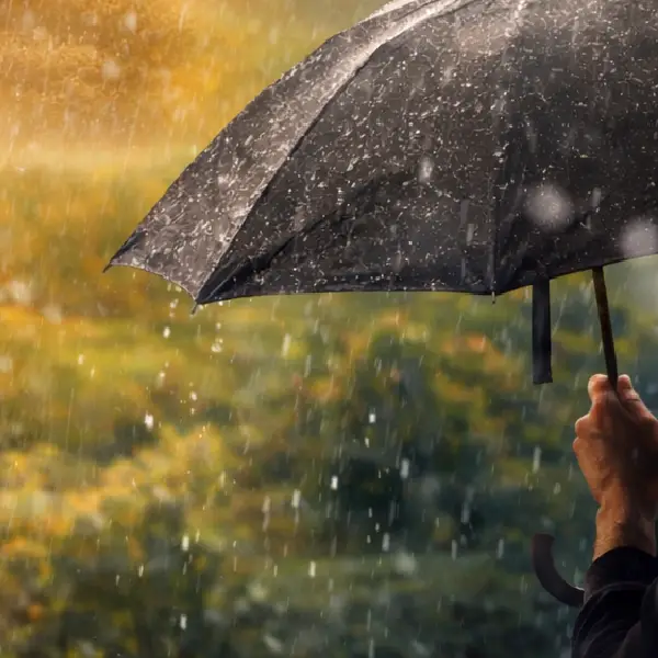 Prudká zmena počasia: Po mrazoch prichádza prudké oteplenie! 2 prudka zmena 1