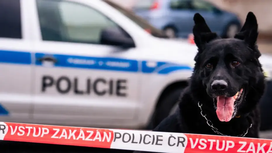 Tragická streľba na mestskom úrade: mŕtvi a viacerí zranení! 5 tragická strelba