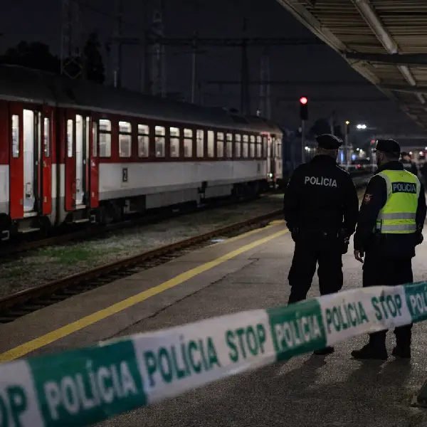 Brutálny útok vo vlaku: Tínedžerku napadla skupina, ľudia sa len prizerali! 2 vo vlaku 1