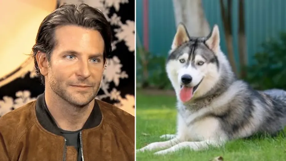 Zaujímavý kvíz s 9 otázkami preverí váš všeobecný prehľad 17 zaujímavý kvíz