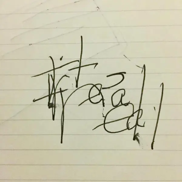 27 minút bola mŕtva: Tina po prebudení napísala dve slová, ktoré šokovali lekárov! 2 27 minut 1