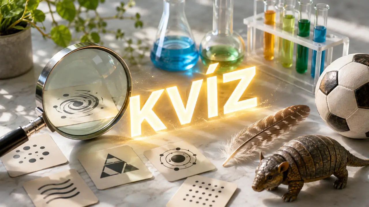 dnesny kviz 1