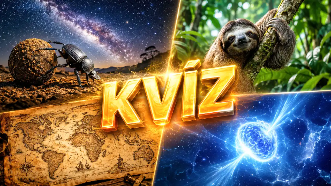 kviz na dnes