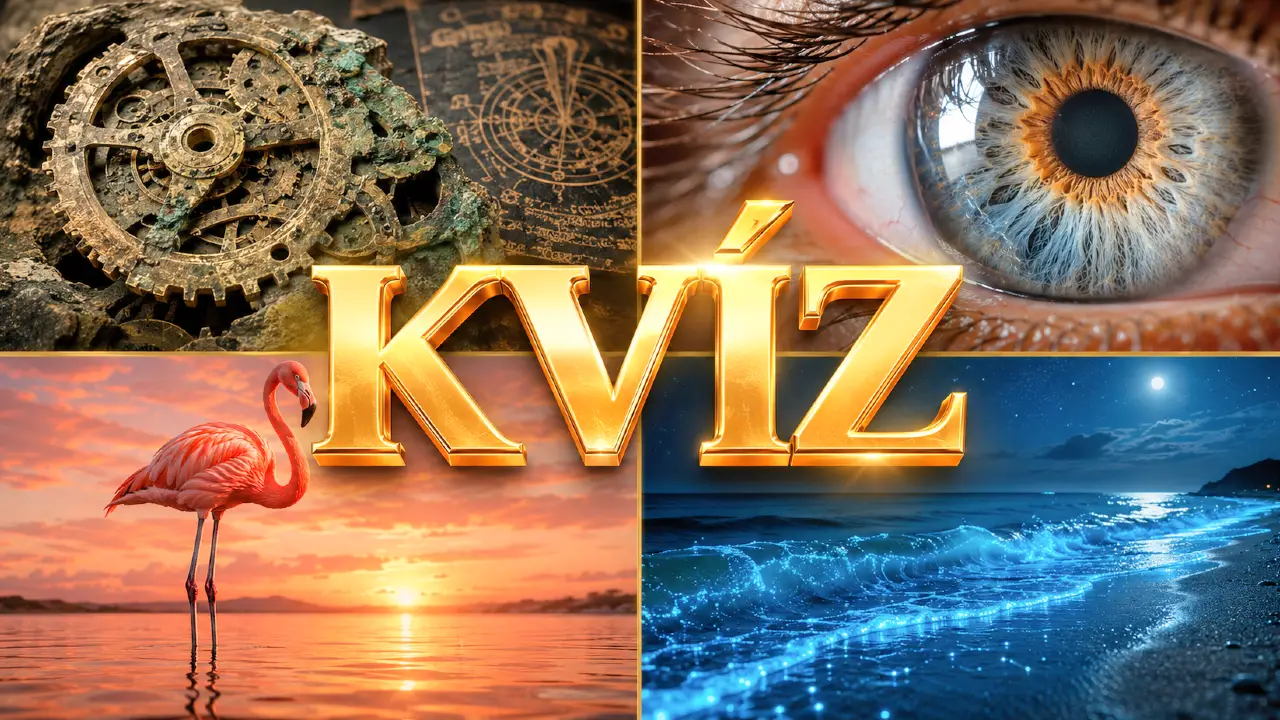 Dnešný kvíz: 9 otázok, pri ktorých sa ukáže, či máte naozaj široký prehľad 1 Dnešný kvíz zo zaujímavostí, vedy, prírody a histórie