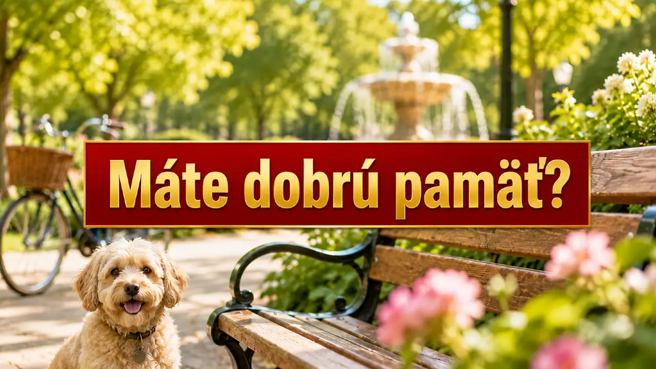 Máte dobrú pamäť? Na tento obrázok sa môžete pozerať iba 30 sekúnd 1 pes v parku