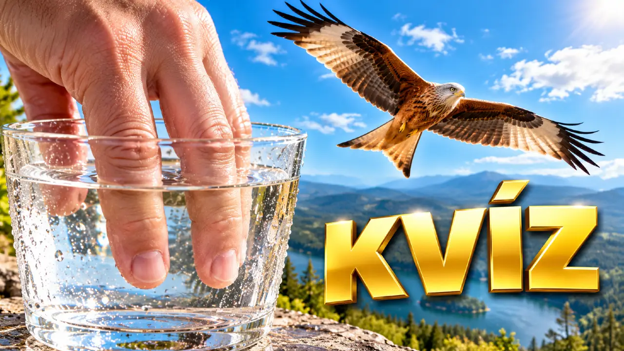 dnesny kviz