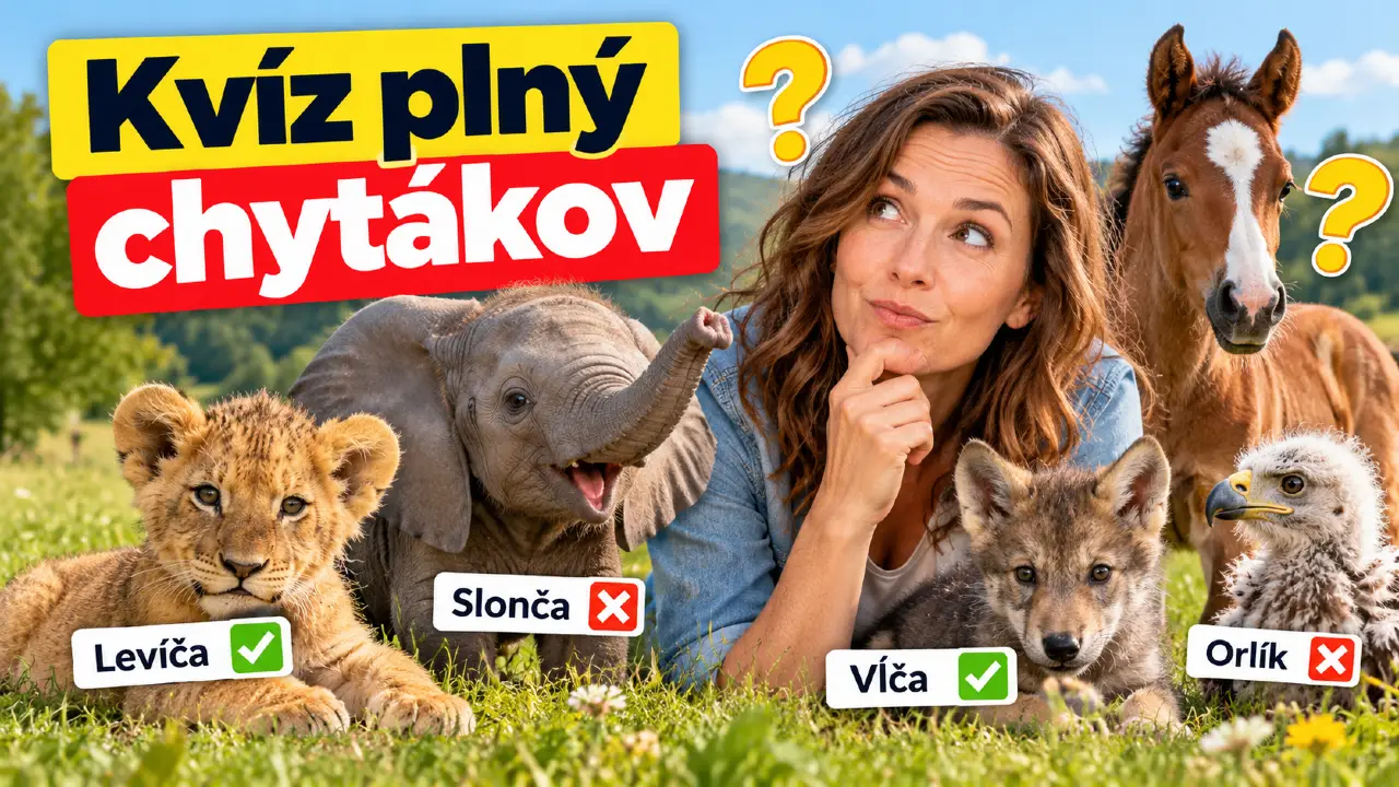 mladata zvierat