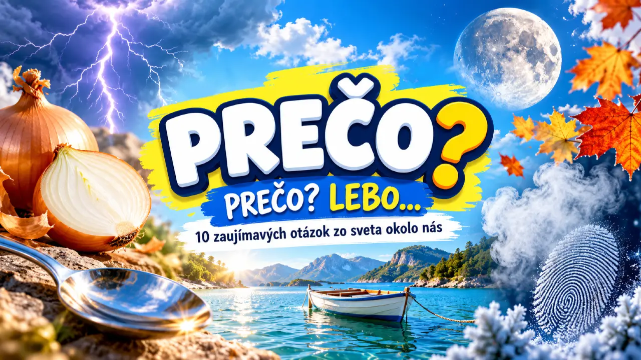 Deti sa pýtajú „prečo?“. Viete na týchto 10 otázok správne odpovedať? 1 preco lebo