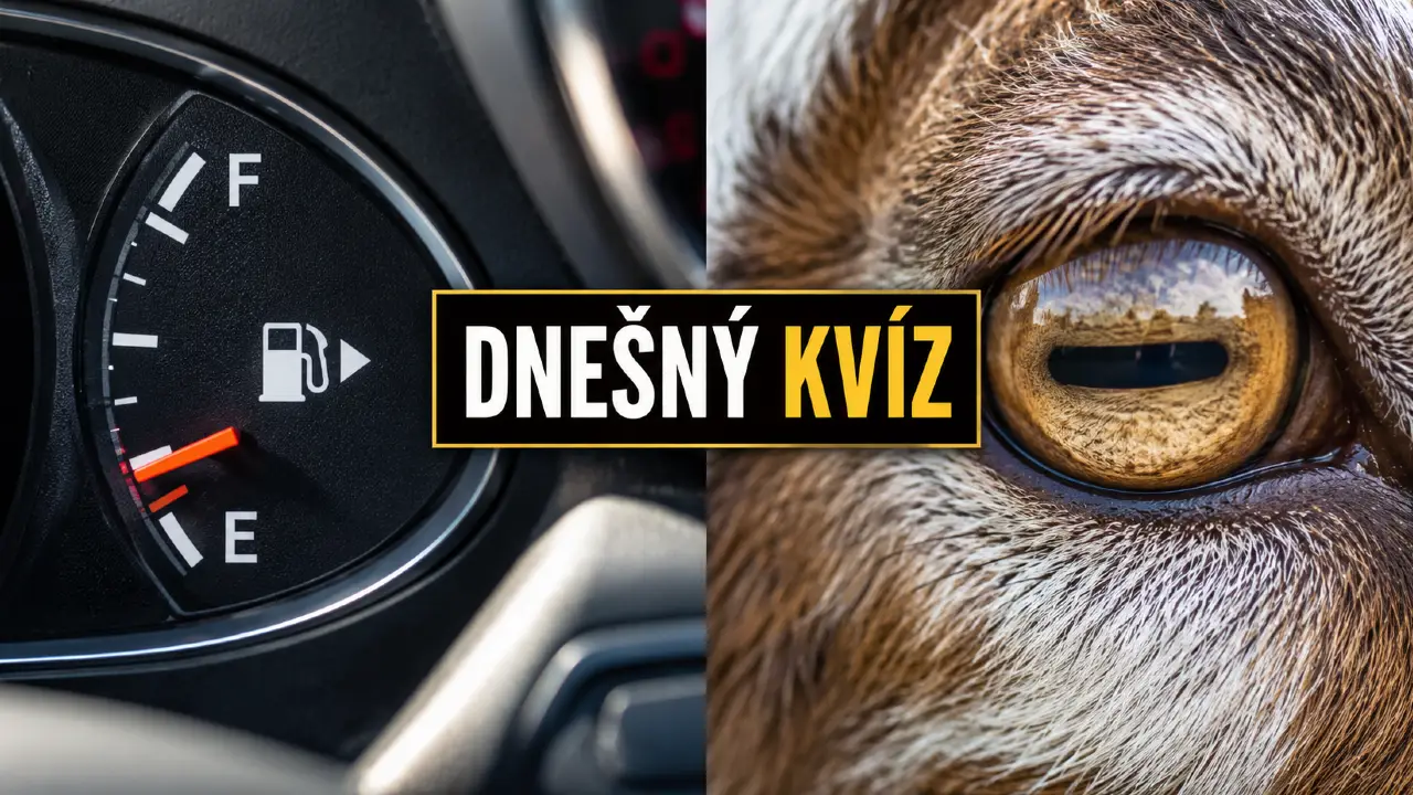 zaujimavy kviz