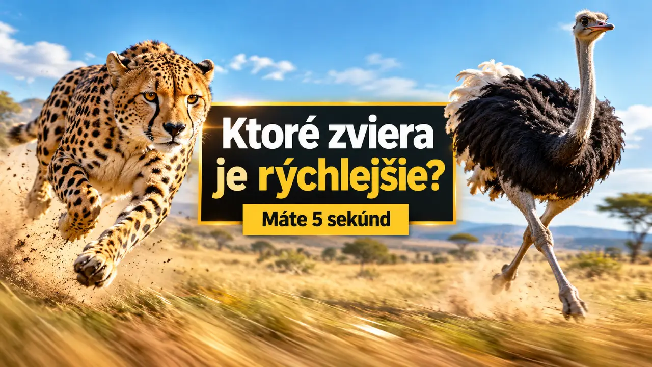 zvierata