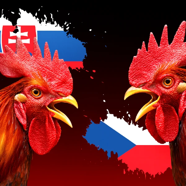 České slová v slovenčine: Dokážete ich preložiť správne? 2 České slová v slovenčine