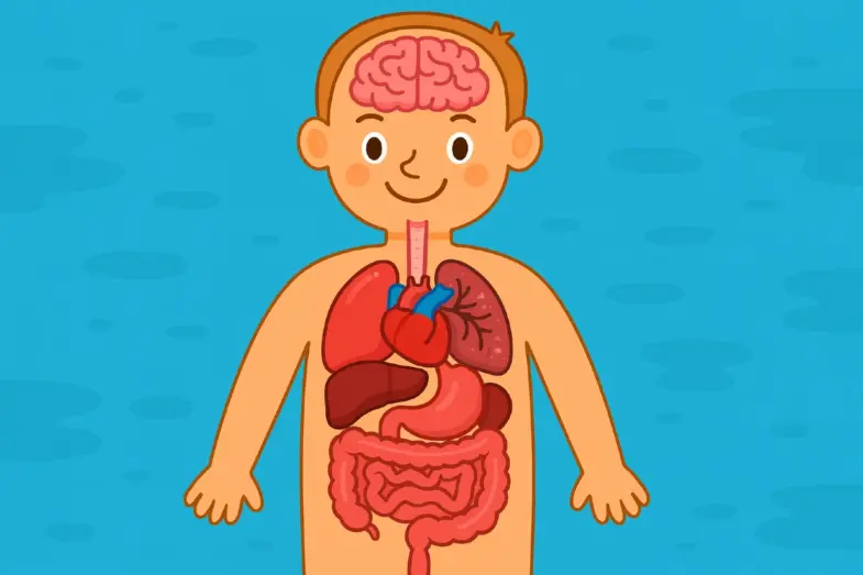 Kvíz o ľudskom tele