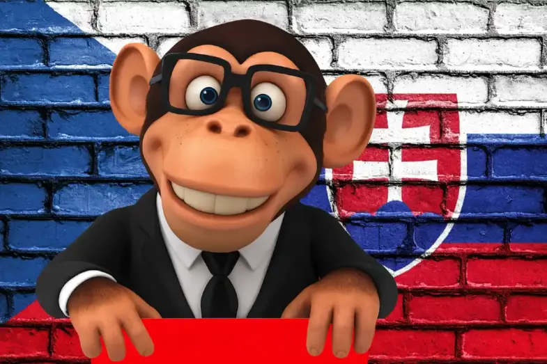 České slová, ktoré mätú Slovákov: Overte si preklady v zábavnom kvíze 16 české slová