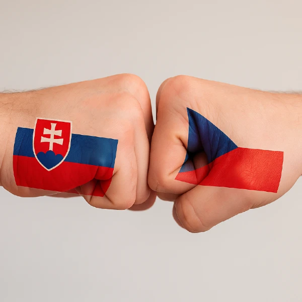 Poznáte české slová? Otestujte sa v prekladoch do slovenčiny! 2 české slová