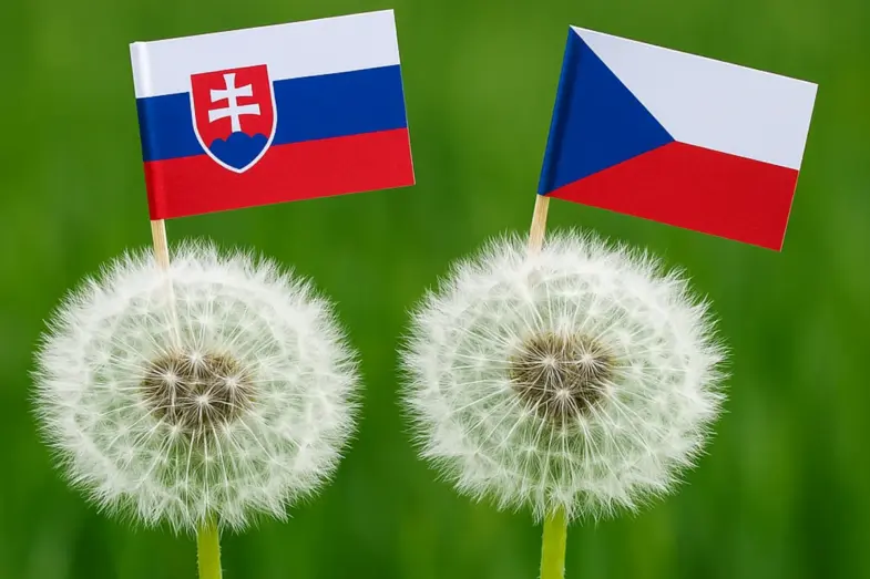 Lichva, koště alebo tchyně: Poznáte české slová a ich slovenské preklady? 7 české slová kvíz