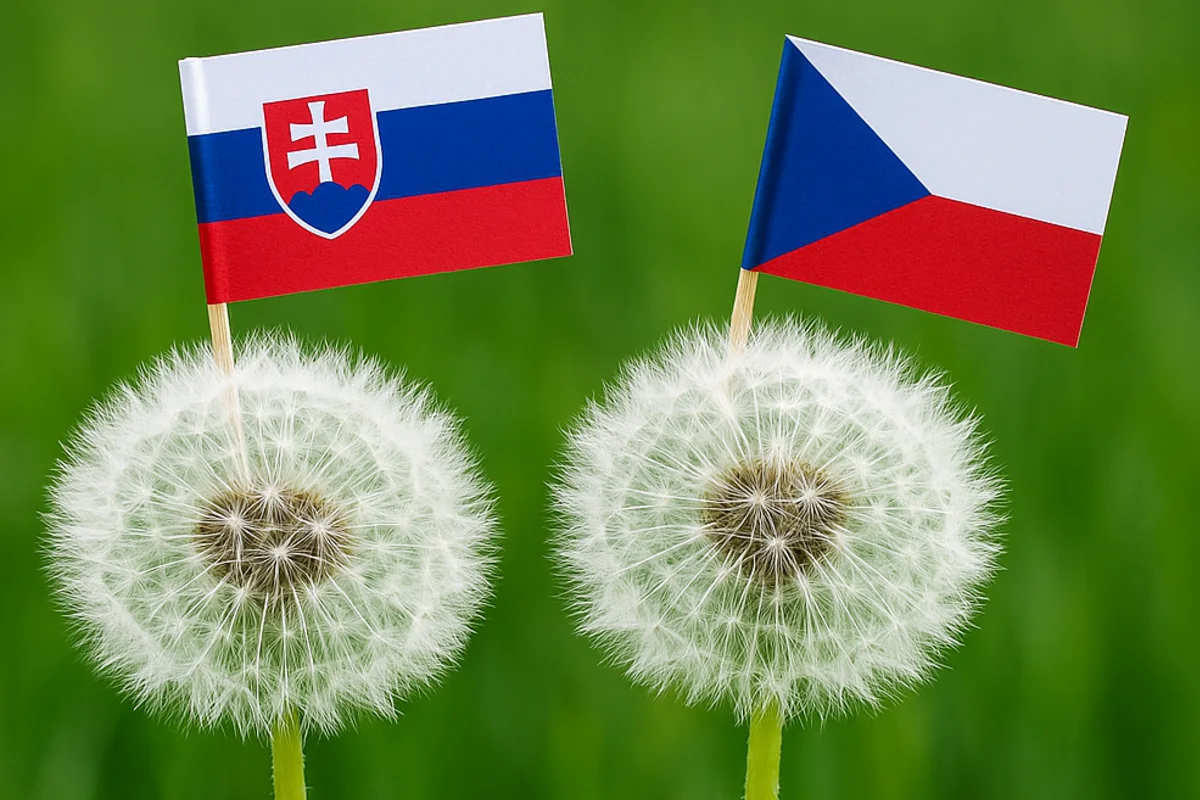 Lichva, koště alebo tchyně: Poznáte české slová a ich slovenské preklady? 1 české slová kvíz