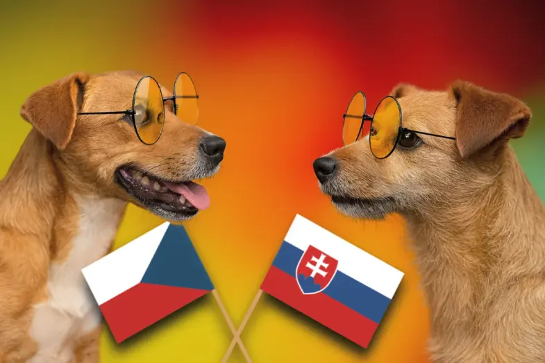 Slová, ktoré mätú Slovákov: Skúste preložiť tieto české slová 11 české slová kvíz