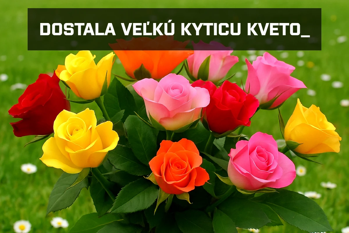 koncovky ou a ov 2